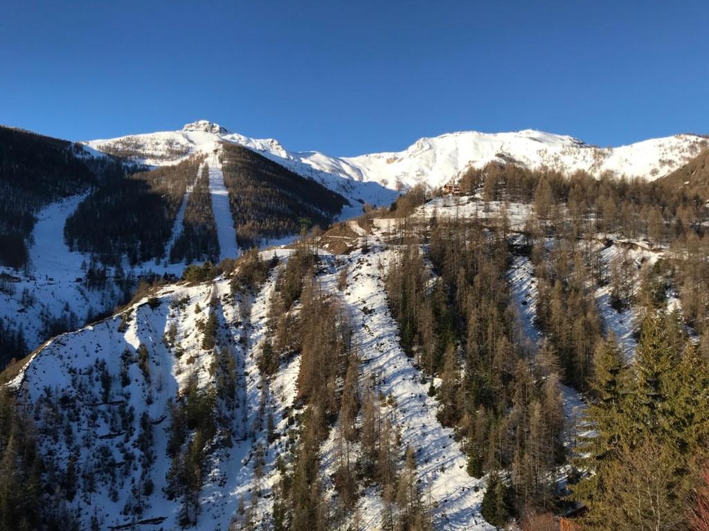 Magnifique 2 Pieces Proche Place D'Auron Luaran gambar